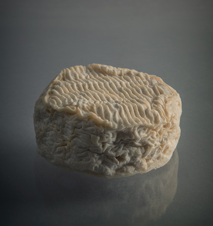 Le Chinonais, fromage de chèvre, spécialité phare Le Vazereau