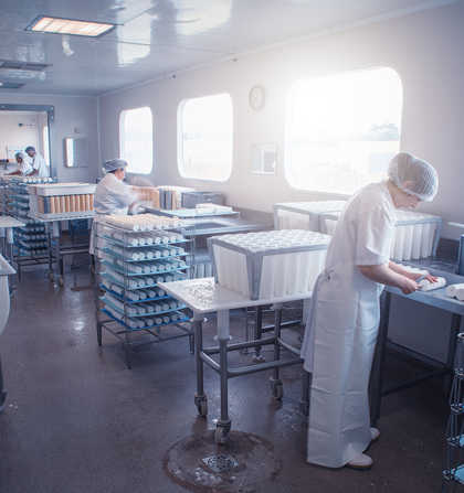 Le Vazereau, fromages de chèvres fabriqués artisanalement